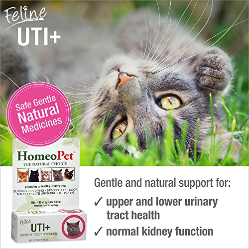 HomeoPet Feline UTI Plus Urinary-Tract Relief, Urinary-Tract Support for Cats, 15 Milliliters