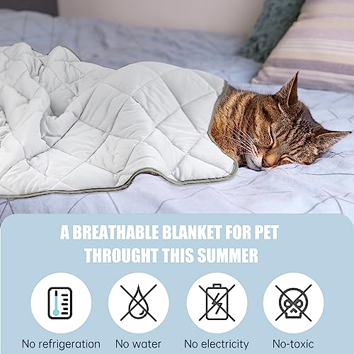 Leekalos Dog Cooling Mat,Pet Cooling Pads for Dogs Blanket,Summer Cooling Bed for Cats Blanket,Portable Pet Cooling Cushion for Home & Outdoor,Keep Cooling for Pets (Cool Grey, Medium(29"x40"))