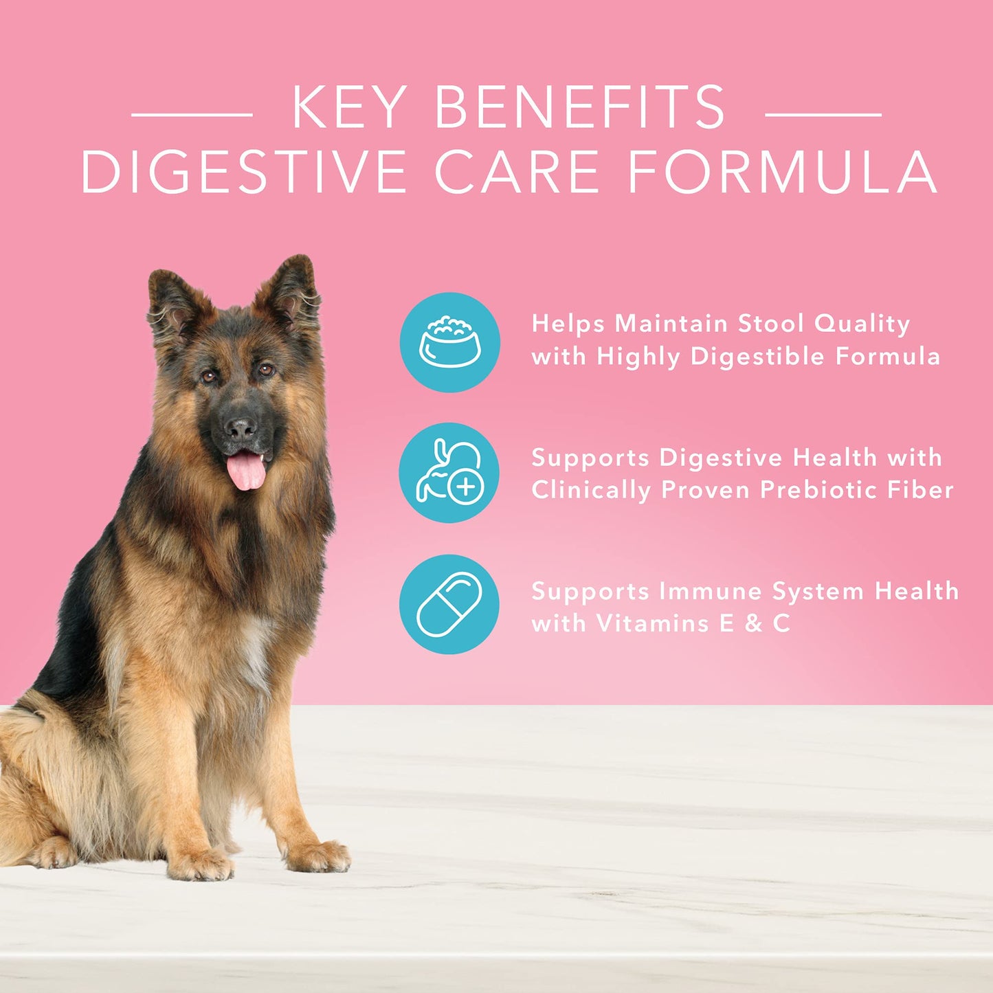 Blue Buffalo True Solutions Blissful Belly Natural Digestive Care Adult Wet Dog Food, Chicken 12.5-oz cans (Pack of 12)