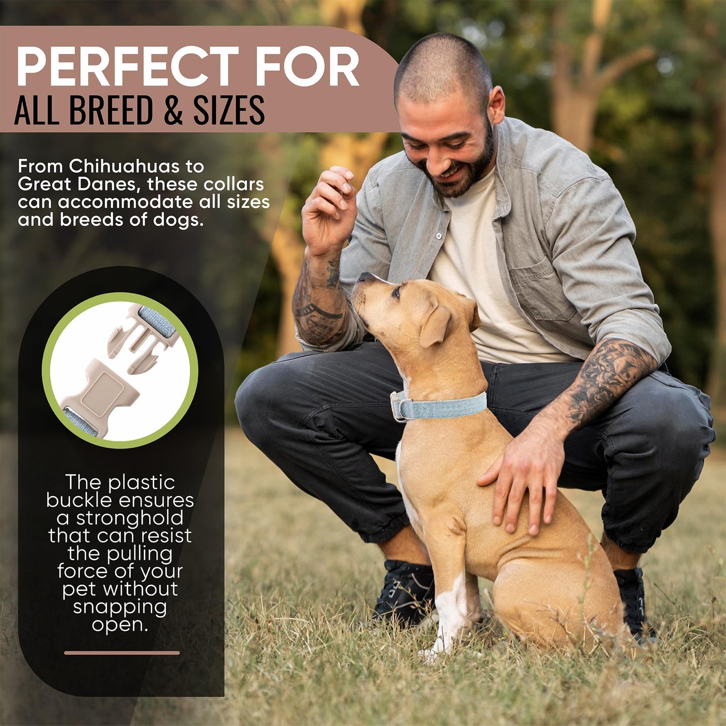 DCSP Pets Dog Collar – Heavy-Duty Dog Collar for Small Dogs, Medium and Large – Eco-Friendly Natural Fabric – Durable and Skin-Friendly – Soft Dog Collar for All Breeds (Large, Light Blue)