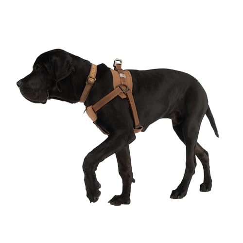 Carhartt Nylon Duck Training Dog Harness, Carhartt Brown, Large