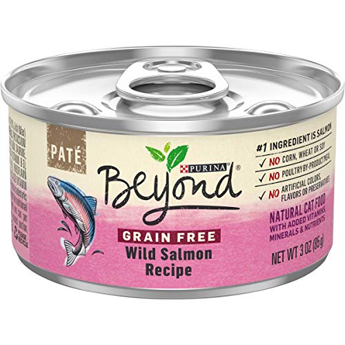 Purina Beyond Grain Free, Natural Pate Wet Cat Food, Grain Free Wild Salmon Recipe - (12) 3 oz. Cans