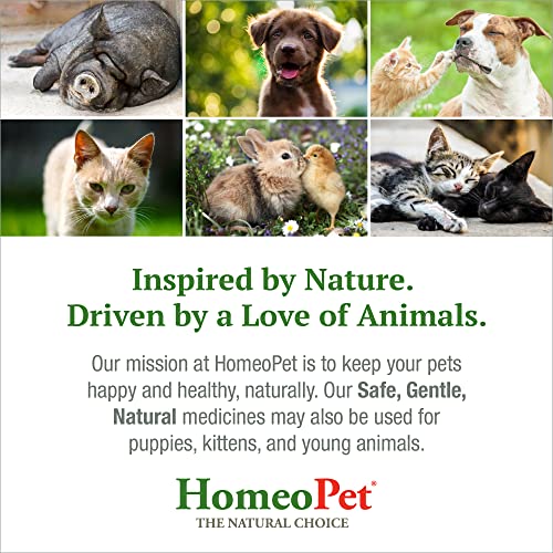 HomeoPet Feline UTI Plus Urinary-Tract Relief, Urinary-Tract Support for Cats, 15 Milliliters