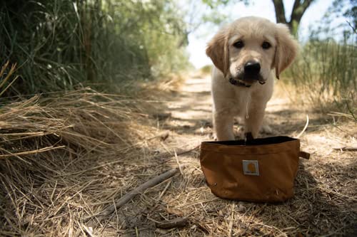 Carhartt Nylon Duck Travel Dog Bowl, Packable Dog Bowl for Food and Water, Carhartt Brown, 10 Cup Capacity