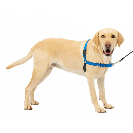 PetSafe Easy Walk No-Pull Dog Harness - The Ultimate Harness to Help Stop Pulling - Take Control & Teach Better Leash Manners - Helps Prevent Pets Pulling on Walks - Large, Royal Blue/Navy Blue