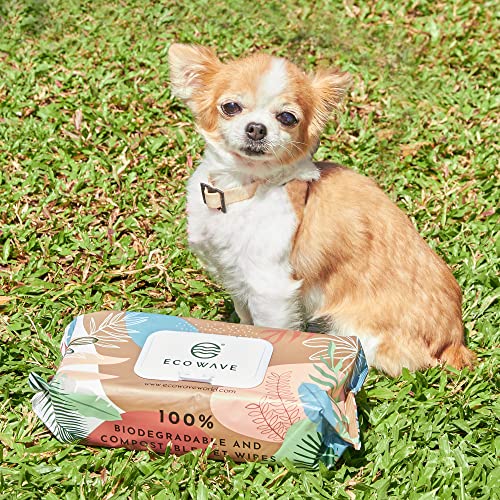 Eco Wave Pet Wipes, 100% Compostable Dog & Cat Grooming and Cleansing Wipes, 100 Wipes