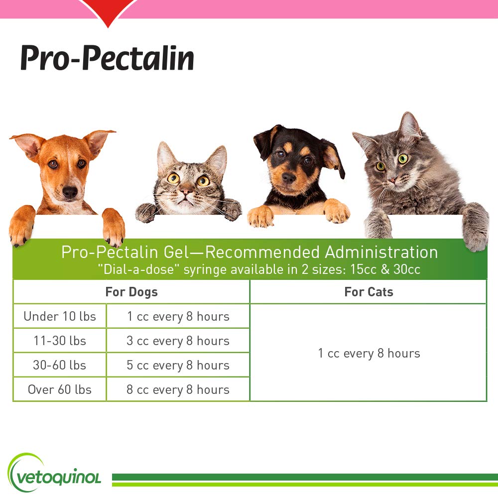 Vetoquinol Pro-Pectalin Oral Paste for Dogs & Cats – Chicken Flavor – Helps Reduce Occasional Loose Stool & Diarrhea, Balance Gut pH, Support Normal Digestion