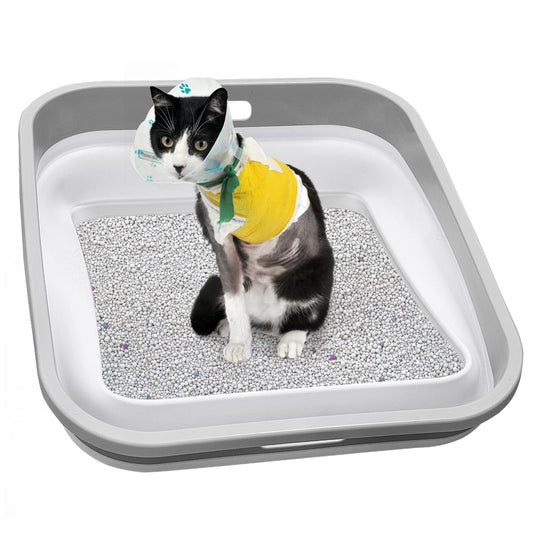 Maohegou Senior Cat Litter Box, Three Legged Arthritic Open Low Entry for Sick Frail Handicap Disabled Cats, Older Elderly Corner