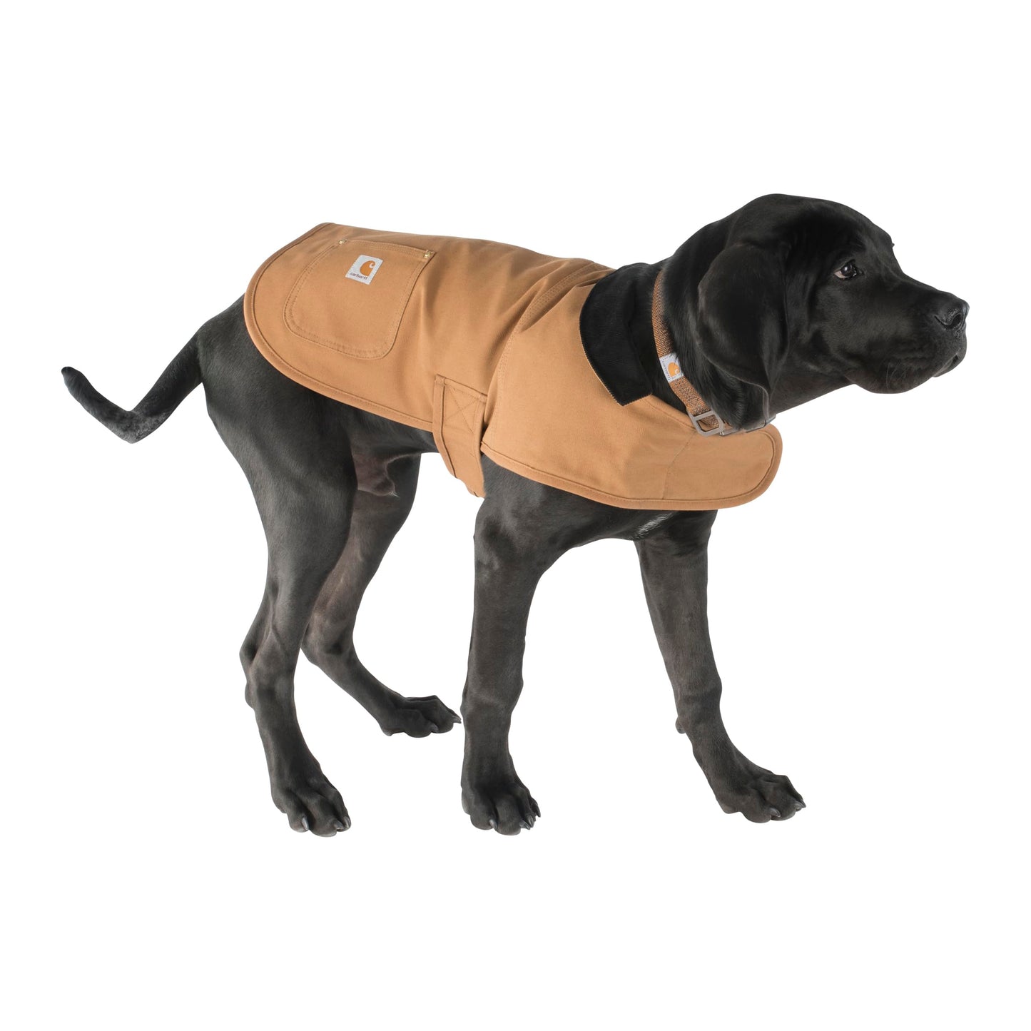 Carhartt Firm Duck Insulated Dog Chore Coat Brown/Brass