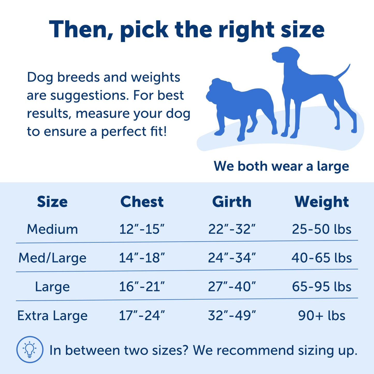 PetSafe Easy Walk No-Pull Dog Harness - The Ultimate Harness to Help Stop Pulling - Take Control & Teach Better Leash Manners - Helps Prevent Pets Pulling on Walks - Large, Royal Blue/Navy Blue