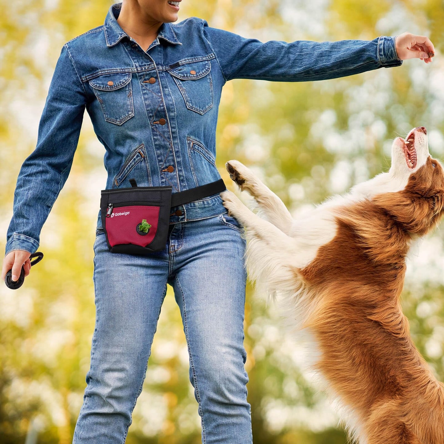 Gobeigo Dog Treat Pouch and Training Clicker, Upgrade Two Magnetic Closure to Prevent Spills, 2 Cup Treat Bag with Poop Bag Dispenser, Metal Clip Waist Belt Fanny Pack for Pet Walking (Black/Red)