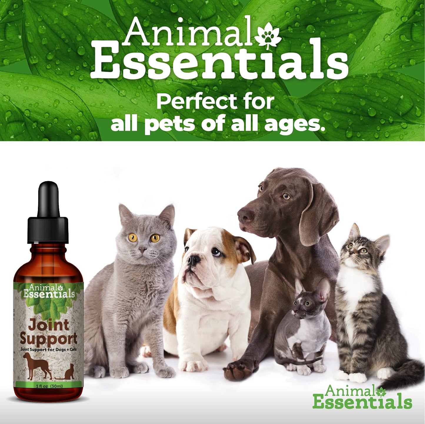 Animal Essentials Joint Support Supplement for Dogs and Cats, 1oz - Made in USA Alcohol-Free, Pain and Swelling Relief