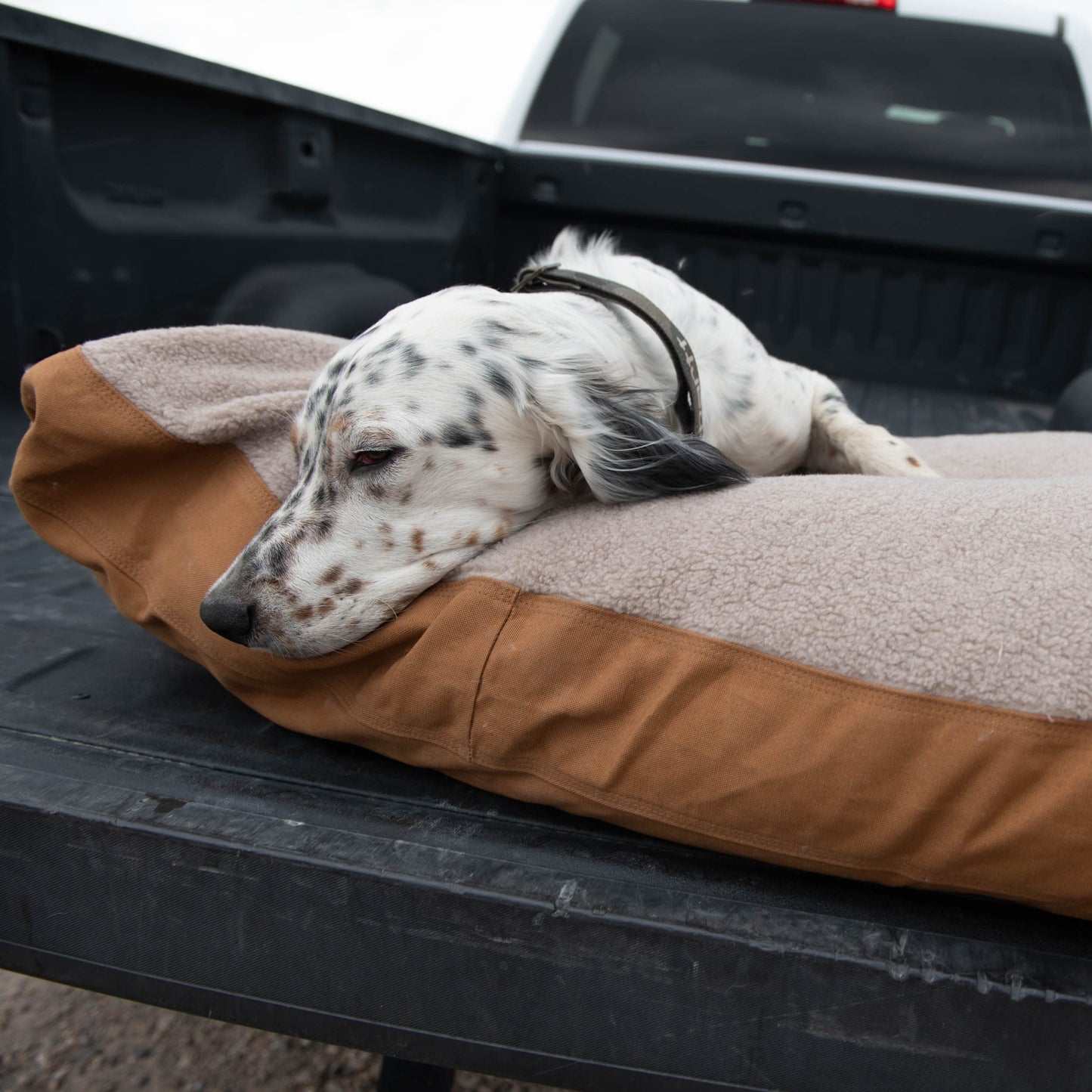 Carhartt Firm Duck Dog Bed, Durable Canvas Pet Bed with Water-Repellent Shell, Tarmac Duck Camo, Large